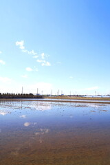 Fototapeta premium 水を入れた早春の田圃風景