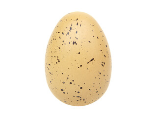 Chicken egg in dots for easter isolated on the white background