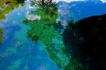 Fototapeta na wymiar 湧水が美しい池