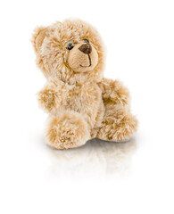 The bear toy is isolated on a white background