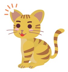 去勢手術と耳カットをした地域猫の男の子