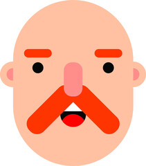 vector face of a man with red hair. a flat image of a smiling man's face.
