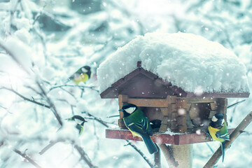 Bird feeder in the park in winter