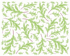 Illustration Vector of Phlebodium Aureum or Golden Serpent Fern Leaves Background.
