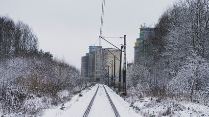 Las Bacieczki Tory © Krenos