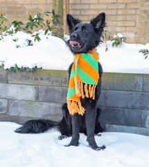 zingen in de sneeuw