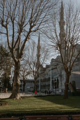 Istanbul. Turkey - 01 February 2021: the view on Blue mosque in Istanbul