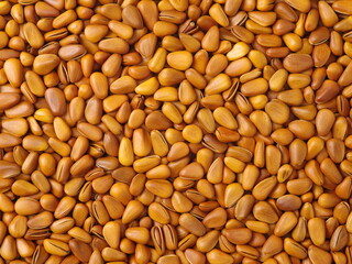 Pine nut background