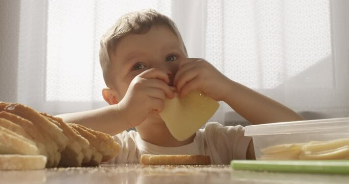 Blonde Little Boy Eating a Cheese Slice at the Table in the Kitchen
