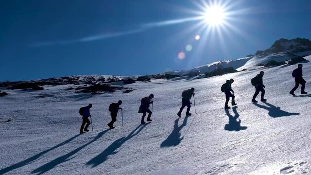 Mountaineering team trekking in the mountains for winter climbing