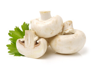 white mushrooms on a white background