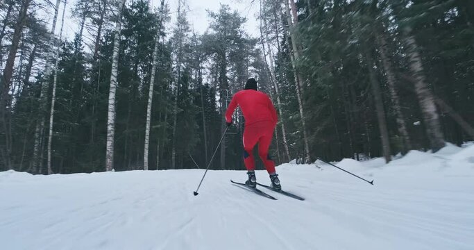 Skier falls hard. Young man in red ski suit carves downhill on the cross country ski track and falls at high speed