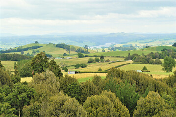 countryside view in New Zealand