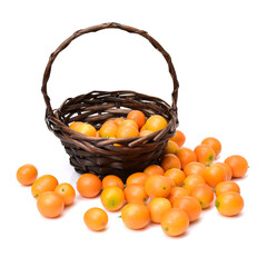 kumquat on white background