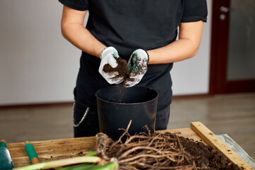 Man put soil in black pot on wooden table , transplant indoor plants, hobbies and leisure, home...