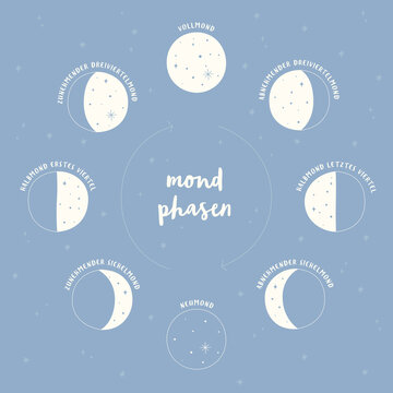 Illustration der Mondphasen Deutsch Mondzyklus Vollmond Neumond 