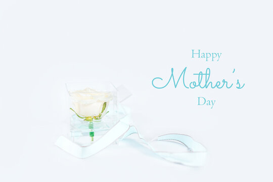Glass transparent container wrapped in a bow with a white rose inside. Photo caption happy mothers day, Greeting card