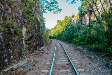 Obraz premium railway in the forest