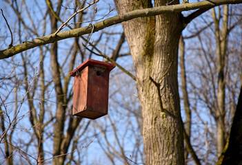 Bird feeder in the woods