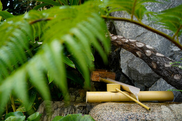 お参りのイメージ　手水