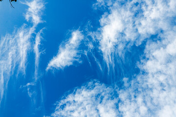 blue sky with clouds