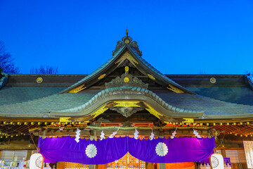 大國魂神社 ライトアップ