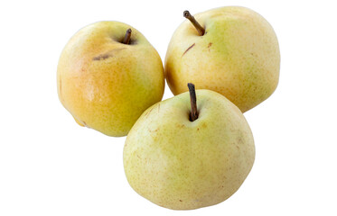 Pear isolated on white background. Local name deveci armut