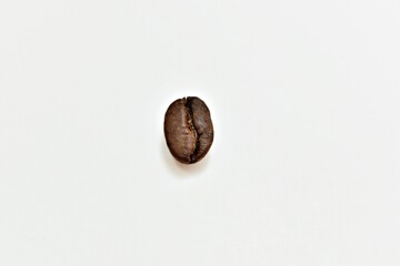 roasted coffee beans cut in haft on background white