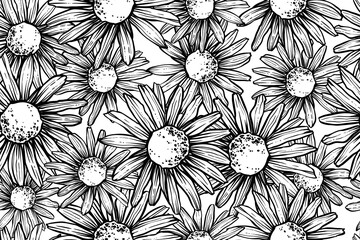 Seamless pattern of camomiles, hand drawn vector