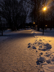 Photo of a winter landscape. Evening park with snow illuminated by a street lamp. Beautiful urban nature. Winter holidays. For greeting cards, interior printing, wallpaper.