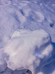 photo of snow on a winter day. winter forest. landscape with snow. Snow texture, top view.