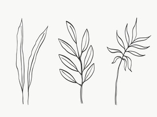 Botanical leaves line art. abstract modern or minimal plants line. perfect for home decor such as posters. vector illustrations design