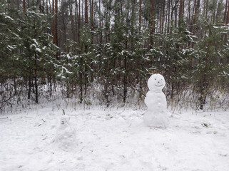 photo of a snowman on a winter day. winter forest. landscape with snow. snowman on the background of the forest in the snow.