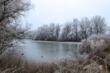 Winter nature beauty, ice frozen lake landscape with frosty woods and trees around
