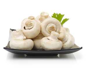 White mushrooms on white background