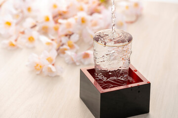 日本酒　冷酒　桜　酒