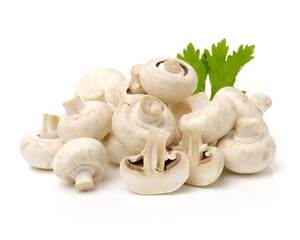 White mushrooms on white background
