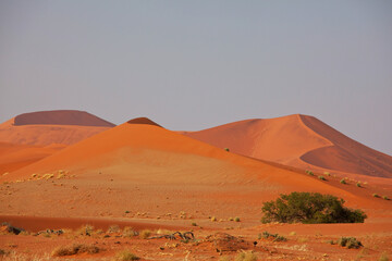 Obraz na płótnie Canvas Sand desert in Namib