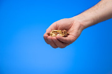 Group of various nuts held in palm by Caucasian male hand isolated on blue background studio shot