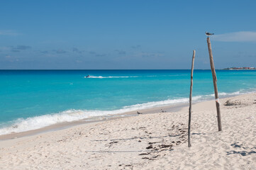 A tourist riding a jet ski on the Mexican Caribbean Sea near a deserted tropical beach. Sports, travel, and tourism concept.