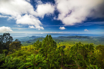 Tropical view from mountain agung volcano Bali