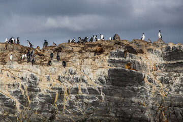 Argentina - Patagonia - Tierra del Fuego