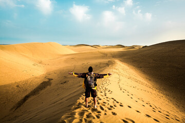 Standing man back view open arms and enjoy with wild beautiful desert in front - lifestyle and adventure trekking backpack travel vacation people concept - alternative summer holiday trip for people