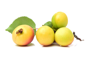 Fresh apricot fruits isolated on white background