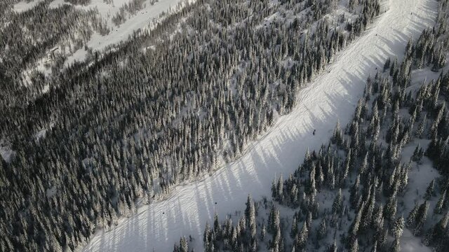 A bird's eye view of the Sheregesh ski resort. Skiers and snowboarders moving on snowy slope in mountain resort. View from a drone to a dense forest and snow-white snow. 4K 60 fps video.