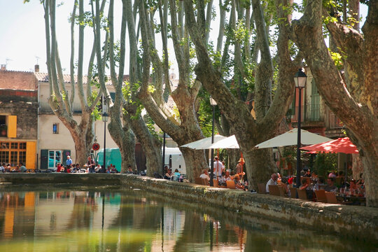 Place de l'&Eacute;tang, Cucuron, Vaucluse, France: huge plane trees (Platanus) and street cafes round the village pond