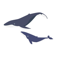 Cartoon whale flat vector illustration