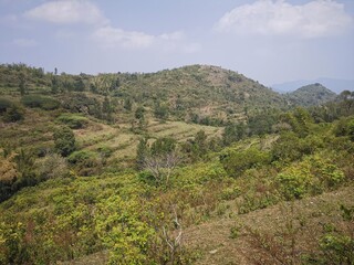 Attappadi landscape in summer 