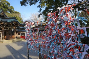 Rope for tiding up Omikuji paper at Enoshima Shrine (Hetsunomiya) in Kanagawa prefecture, Japan -...