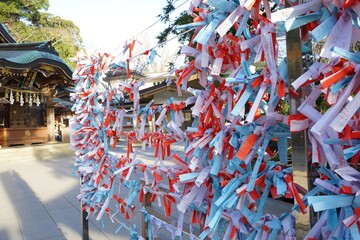 Rope for tiding up Omikuji paper at Enoshima Shrine (Hetsunomiya) in Kanagawa prefecture, Japan - 江島神社 おみくじ 神奈川県 日本